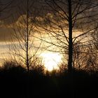 Un souflé d'encre devant le couché de soleil