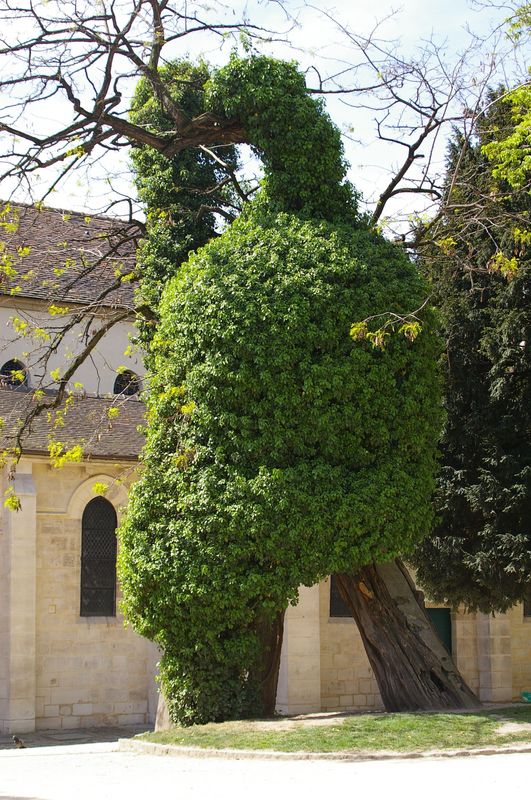 Un square à Paris...et vous, ça vous fait penser à quoi ?