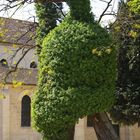 Un square à Paris...et vous, ça vous fait penser à quoi ?