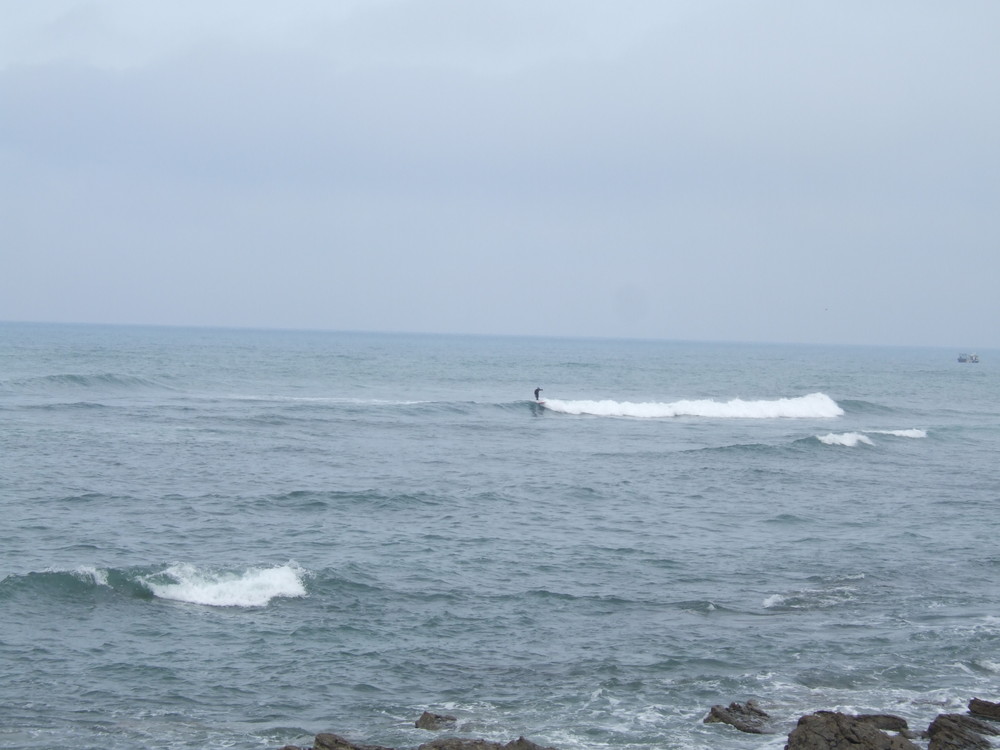 Un surfeur dans la bais du BAB (Biaritz Anglet Bayonne)