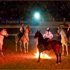 Un tableau du spectacle équestre