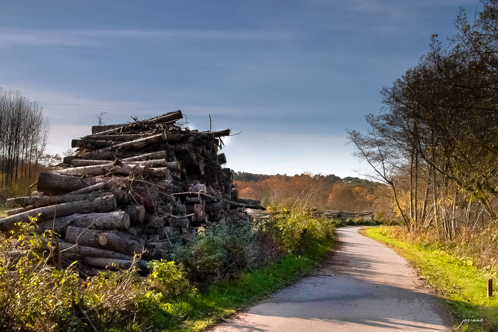 UN TAS DE BOIS photo et image nature paysage bois UN TAS DE BOIS photo et image nature paysage bois