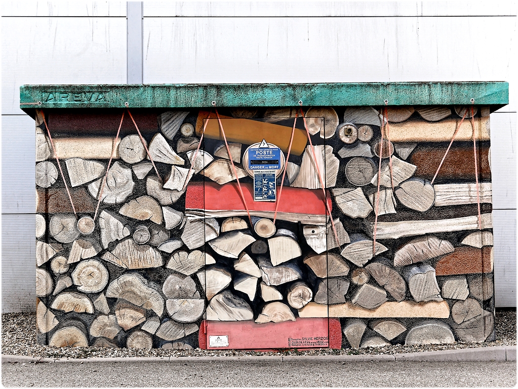 Un tas de bois, hêtre et charme