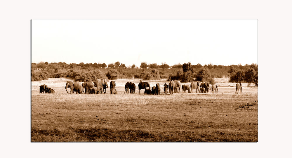 Un tempo......Africa