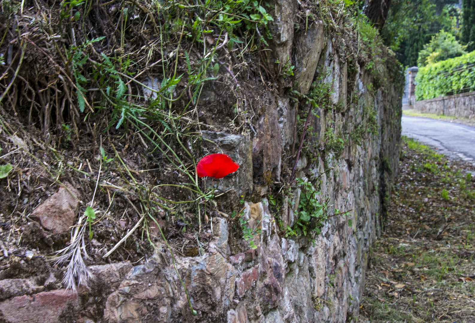 Un tocco di colore