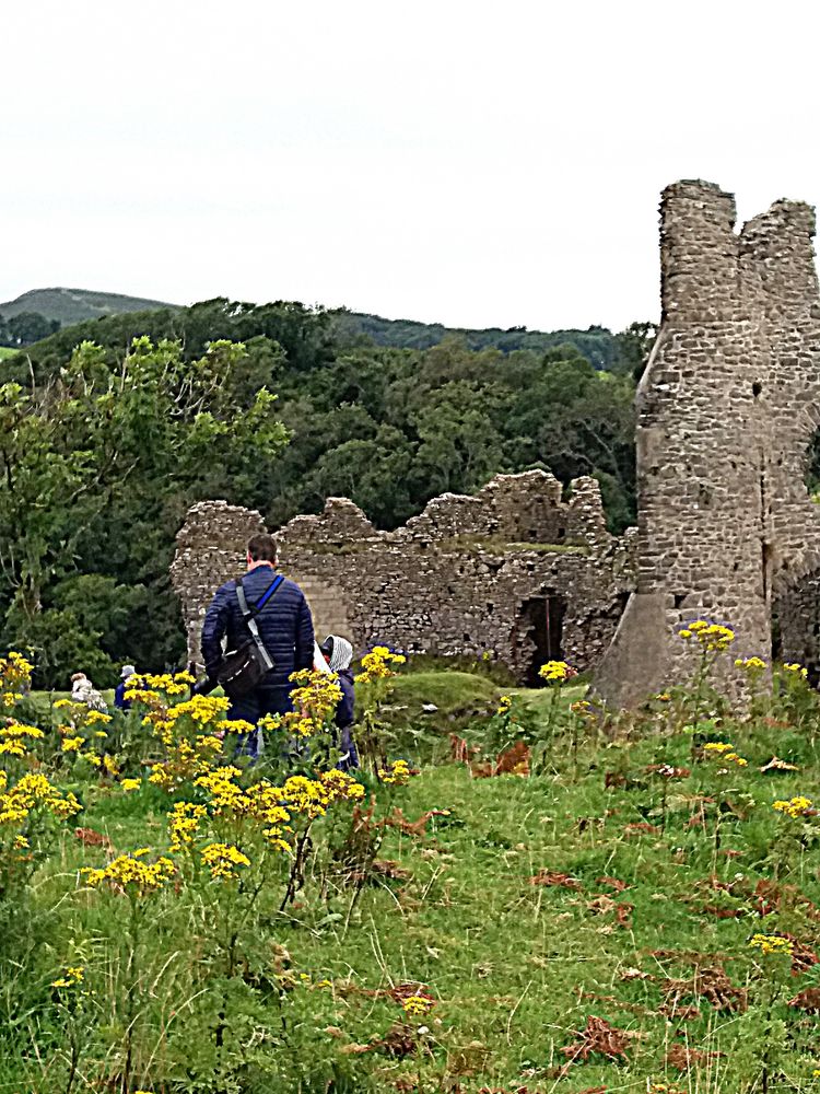 UN tocco di colore..a Pennard castle...Galles