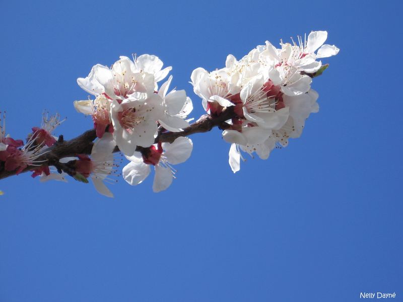 Un tocco di primavera