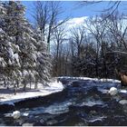 Un torrent dans les Laurentides