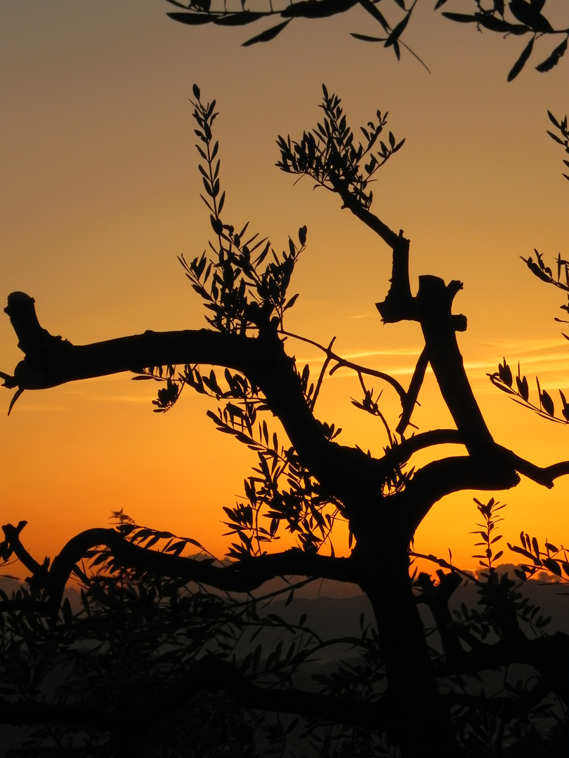 Un tramonto di Settembre