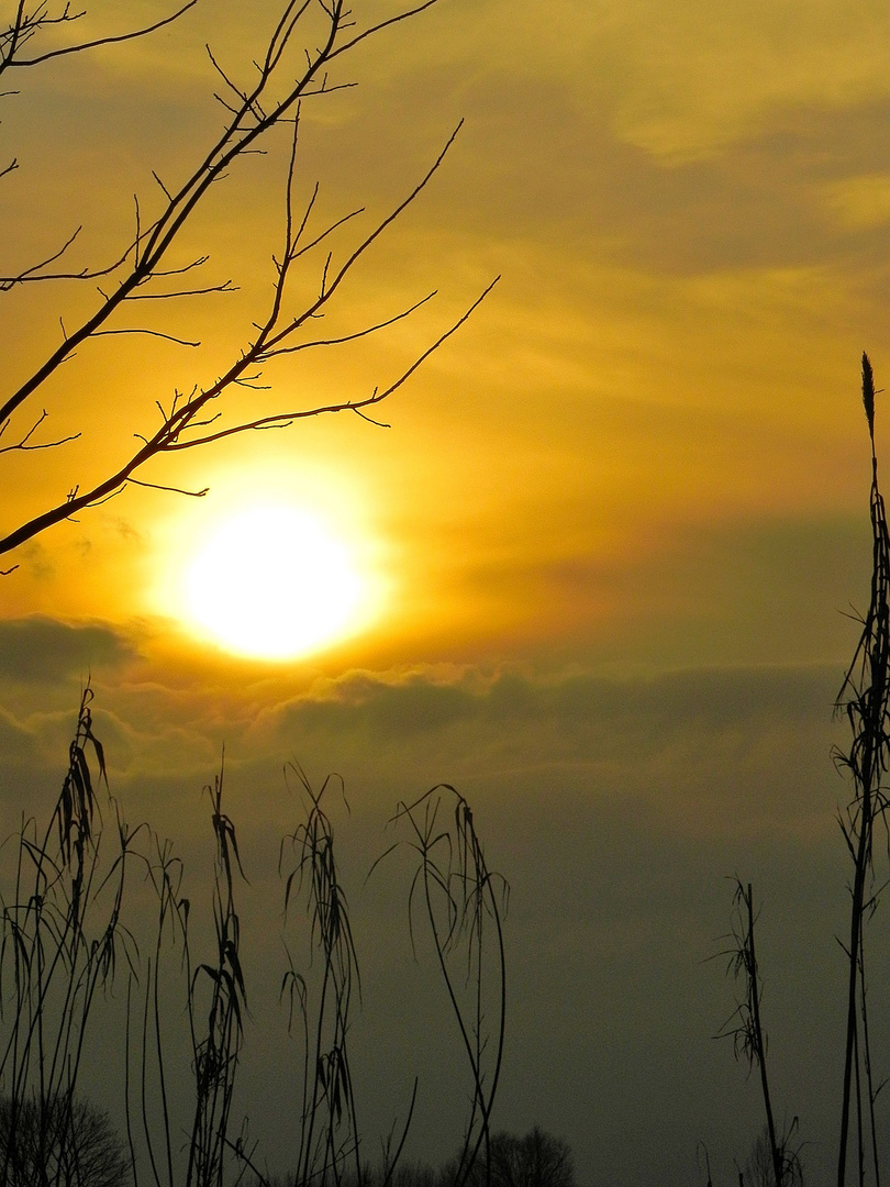 Un tramonto in Padule