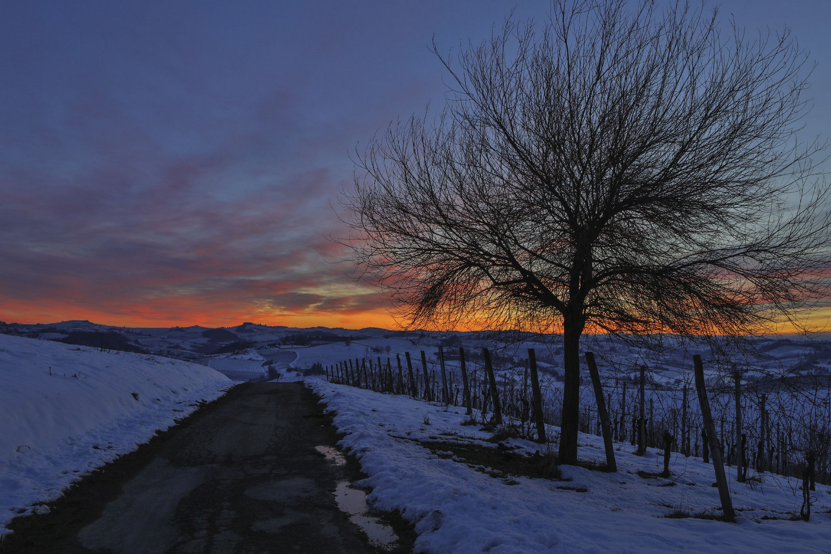 un tramonto monferrino