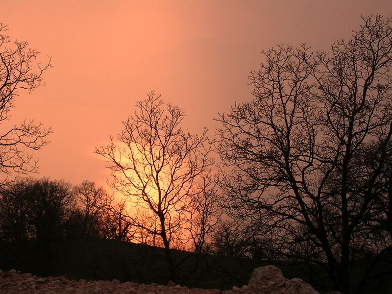 un tramonto sul lago