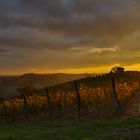 Un tramonto tra Cassine e Ricaldone