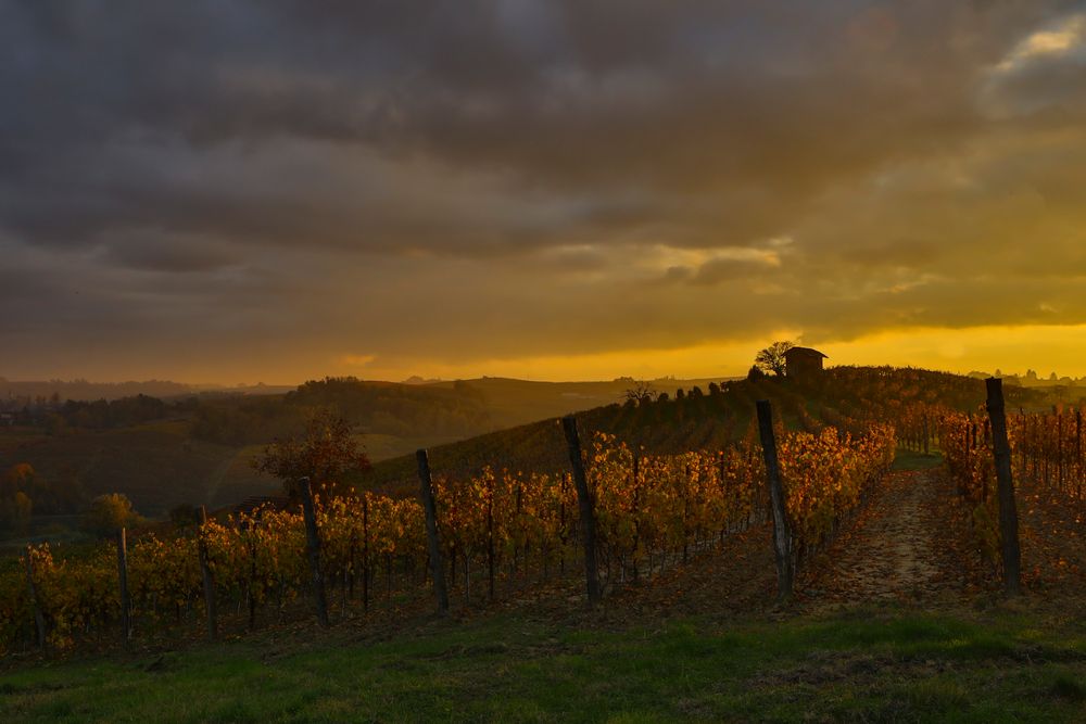 Un tramonto tra Cassine e Ricaldone