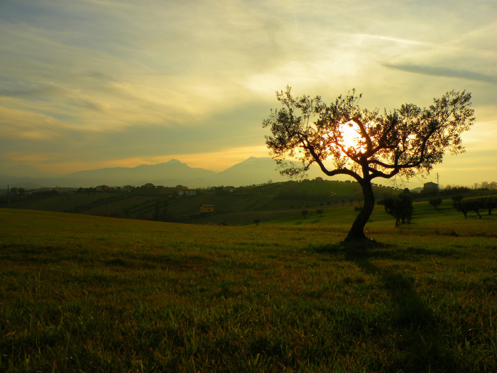 Un tramonto velato