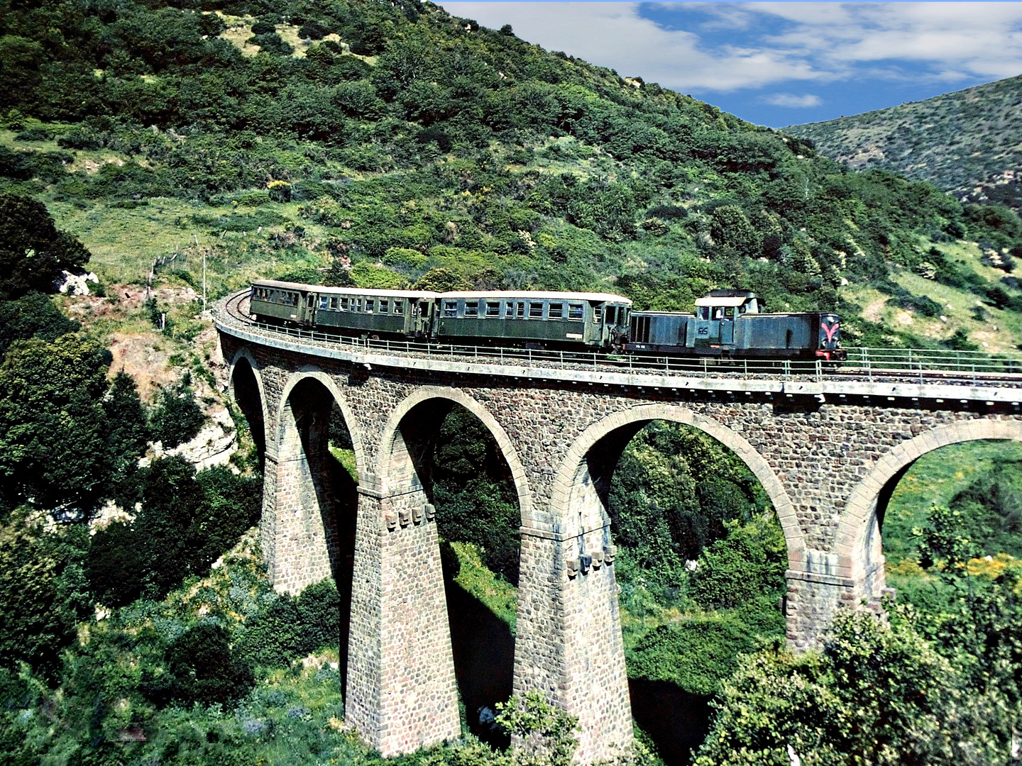 un trenino stava correndo attraverso la campagna...