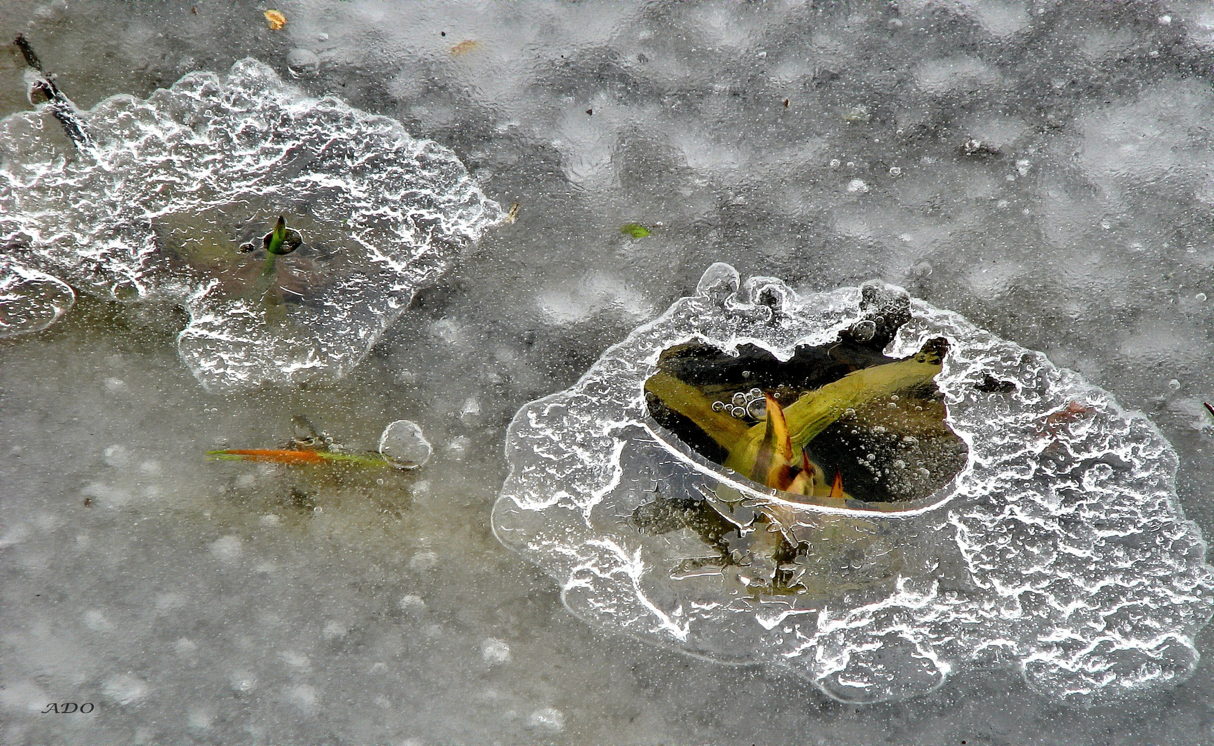 un trou dans la glace