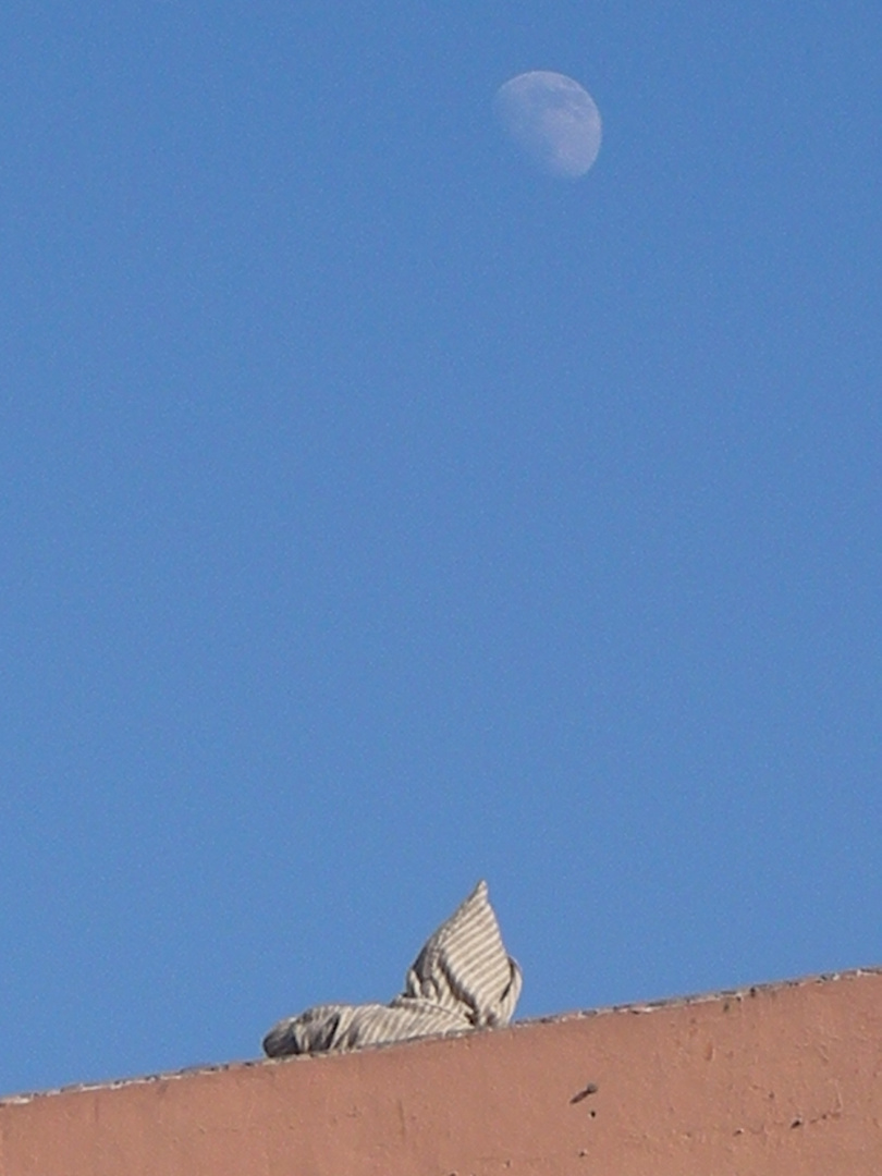 un uomo e la luna