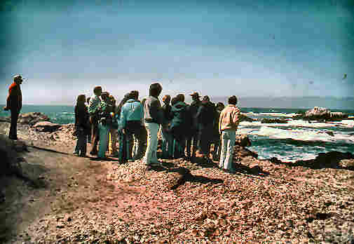 Un uomo in mare....