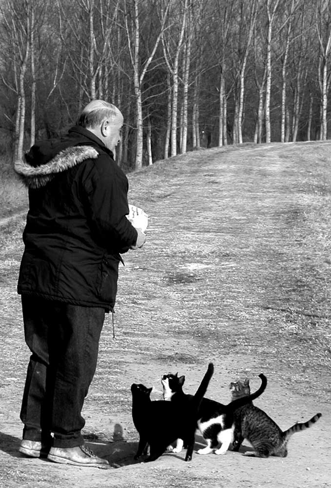 un uomo per amico