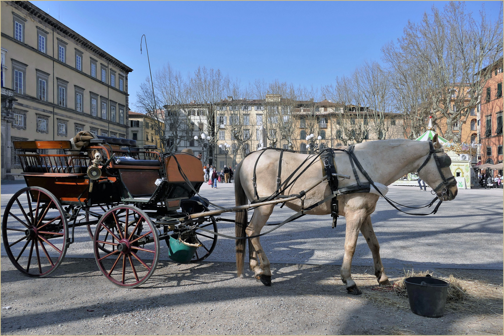 un véhicule écologique de 1 CV ( cheval vapeur)