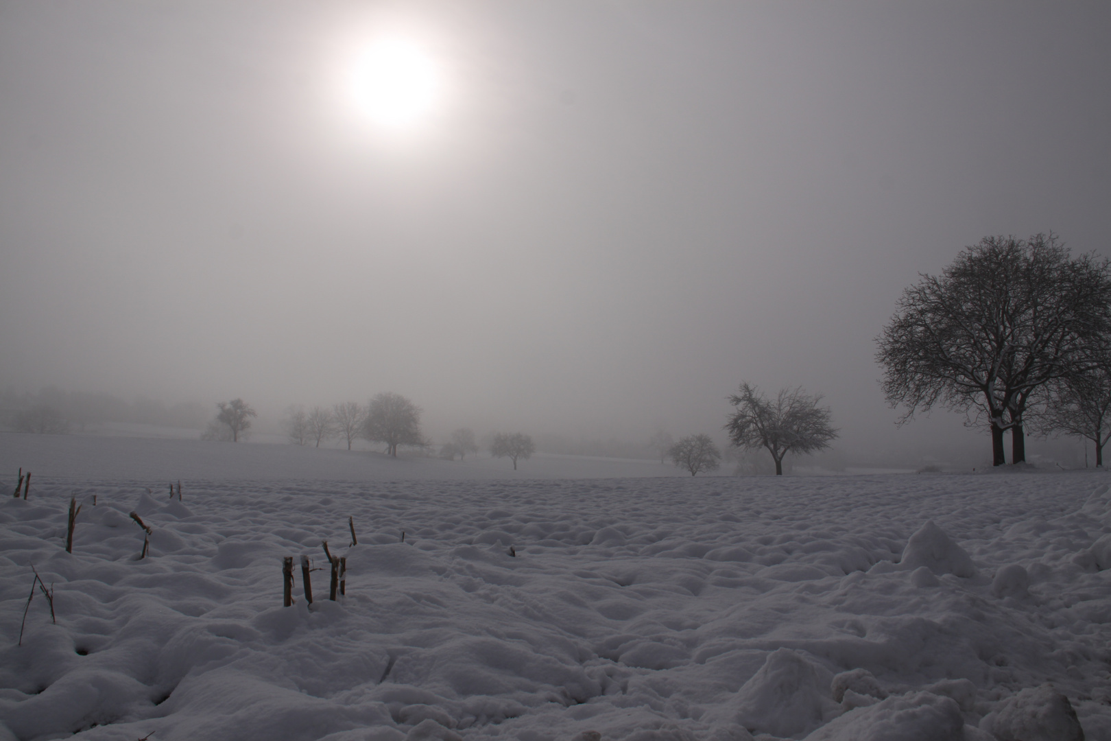 un velo di nebbia