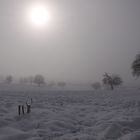 un velo di nebbia