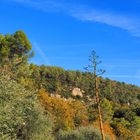 Un versant des gorges de la Siagne