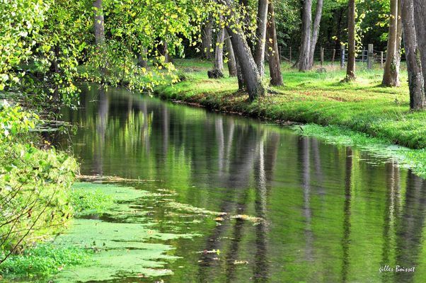 Un vert d'eau