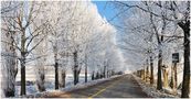 Un viale vestito di bianco von Domenico Formichella 