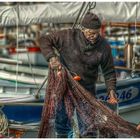 Un Vieux Loup De Mer