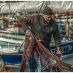 Un Vieux Loup De Mer