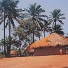 Un village près de Mamou