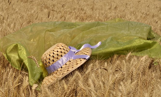 un voile sur la campagne française!!!