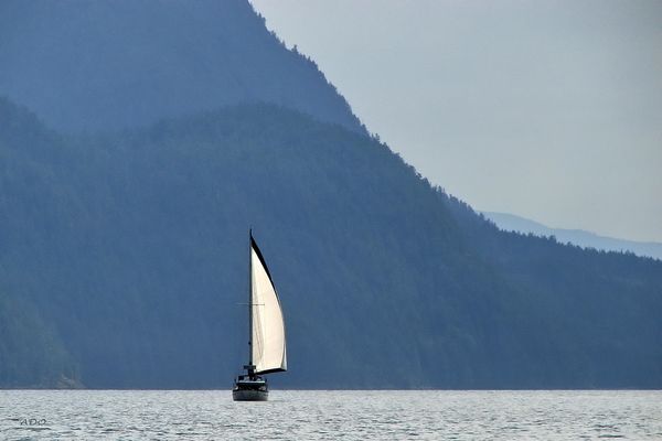 un voilier solitaire 