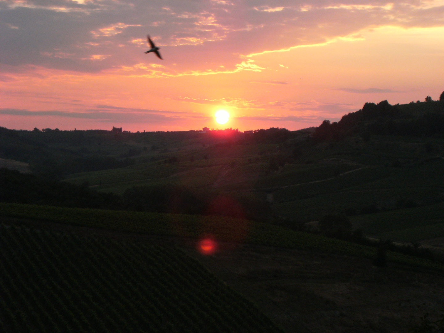 Un volo al tramonto