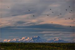 un volo della mente