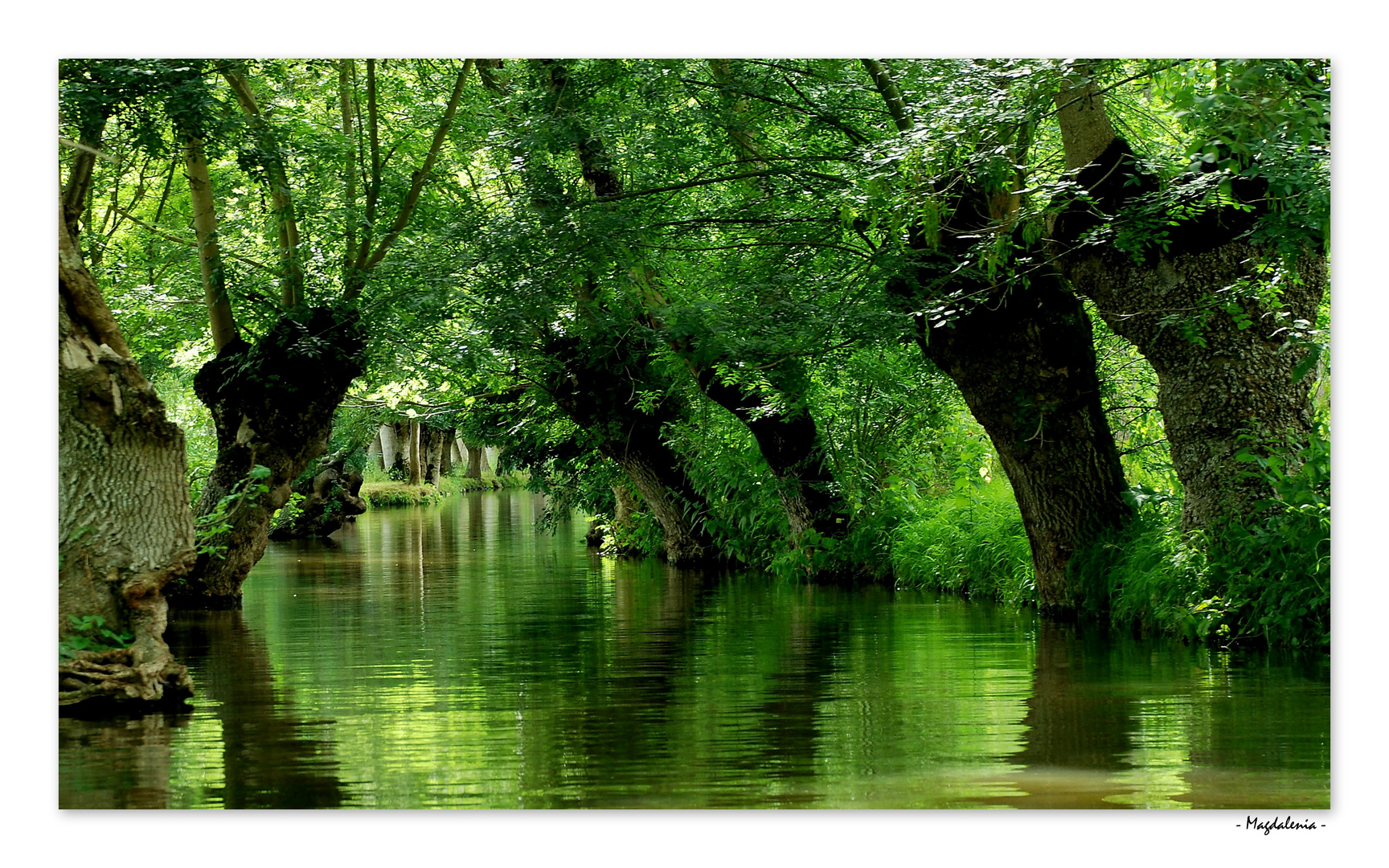 Un vrai paradis