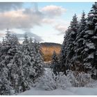 Un vrai temps d'hiver !