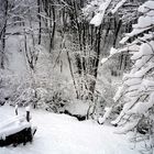 Un vrais hiver au sud des Alpes