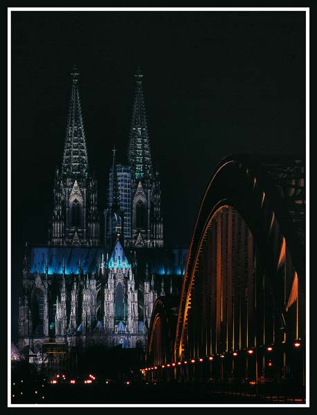 un widder de Dom