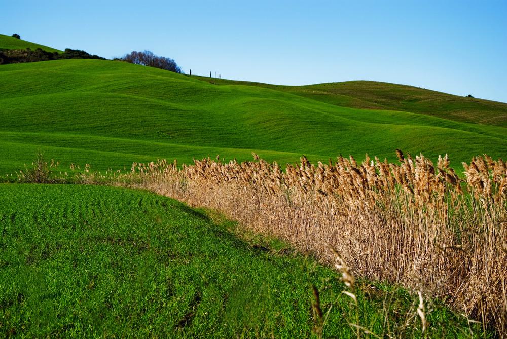 una bella giornata di Marzo....