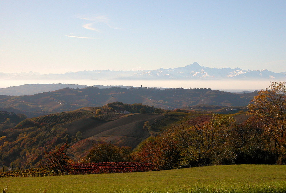 Una bella giornata in Langa