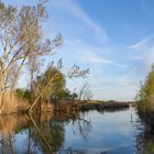 Una cartolina dal lago di Montepulciano