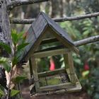 Una casa abandonada