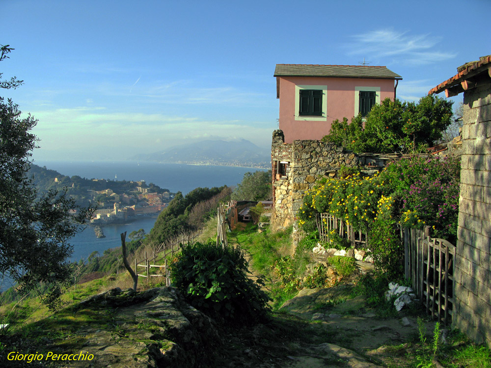 Una casetta in Paradiso