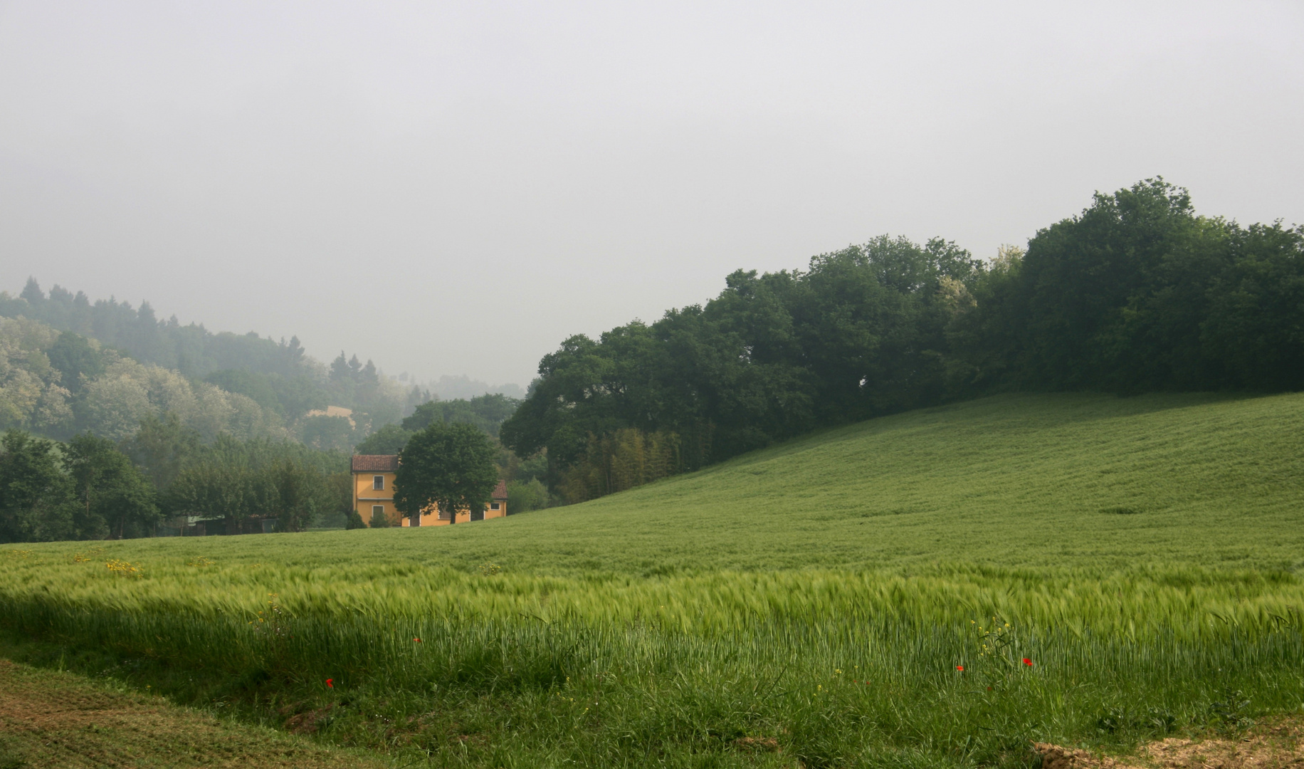 Una casettina in periferia (da Sensazioni)