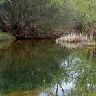 Una charca de un rio cualquiera.