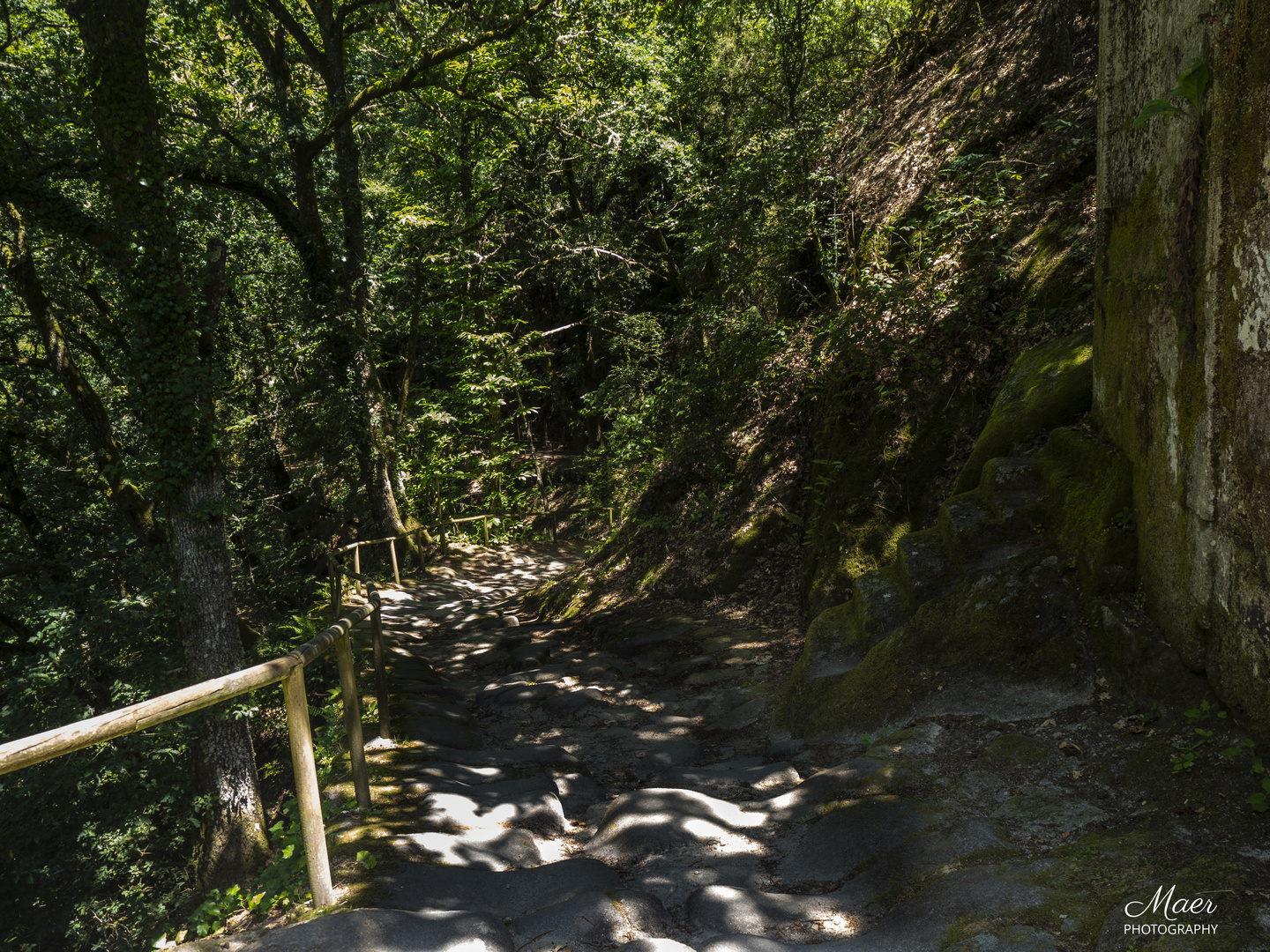 Una de las subidas al monasterio.