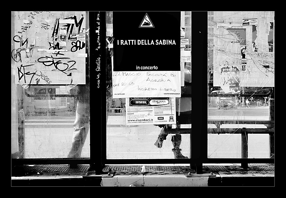 Una domenica mattina..aspettando il Tram..